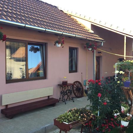 Casa Rustica Cu Terasa Βίλα Mediaş Εξωτερικό φωτογραφία