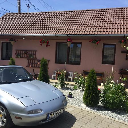 Casa Rustica Cu Terasa Βίλα Mediaş Εξωτερικό φωτογραφία