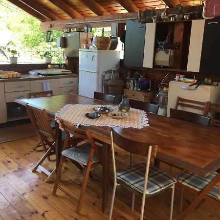 Casa Rustica Cu Terasa Βίλα Mediaş Εξωτερικό φωτογραφία