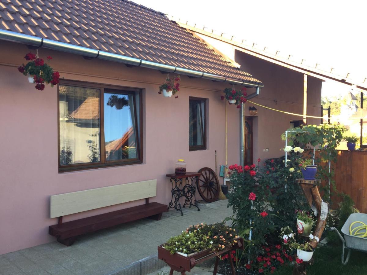 Casa Rustica Cu Terasa Βίλα Mediaş Εξωτερικό φωτογραφία