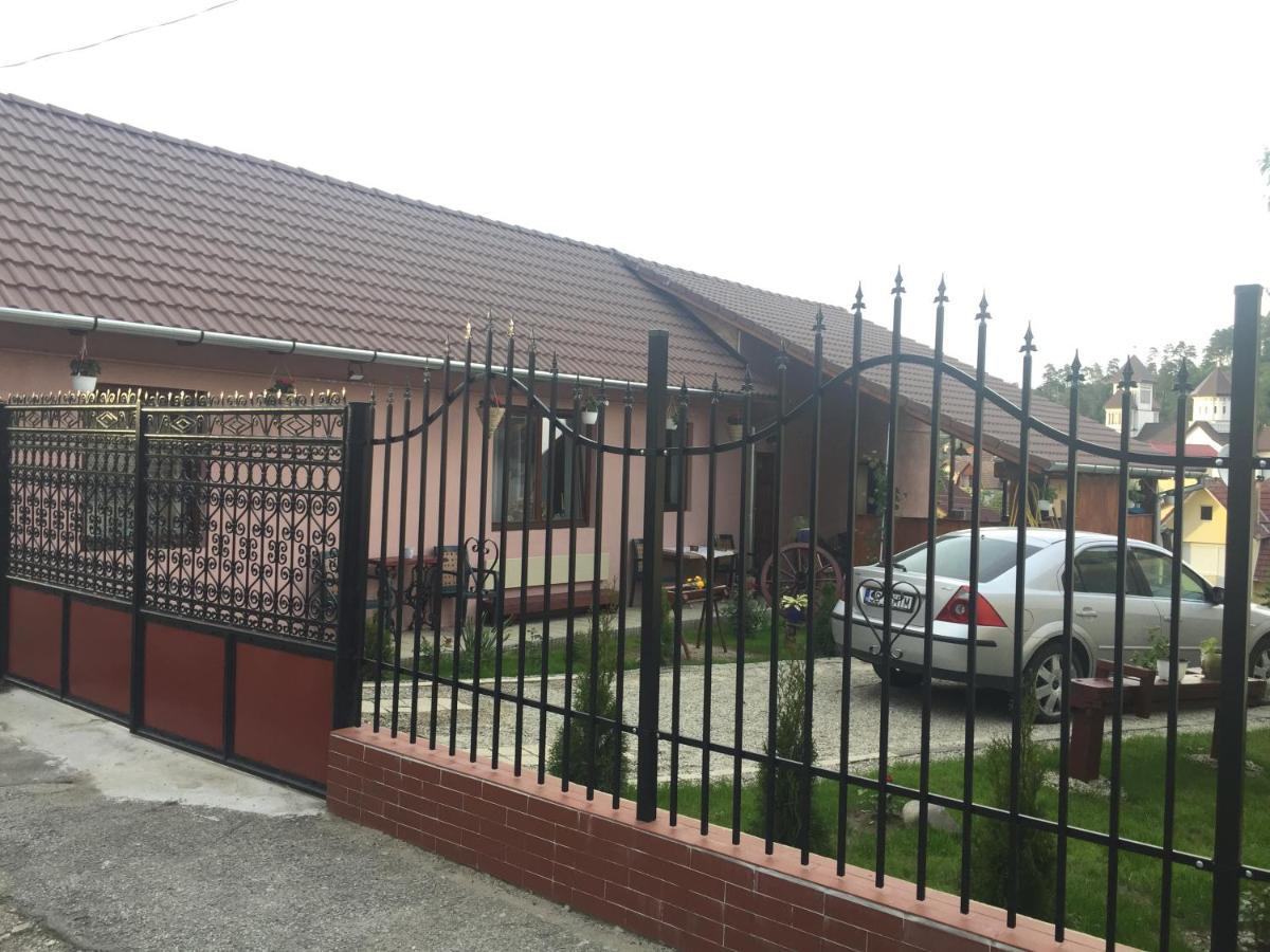 Casa Rustica Cu Terasa Βίλα Mediaş Εξωτερικό φωτογραφία