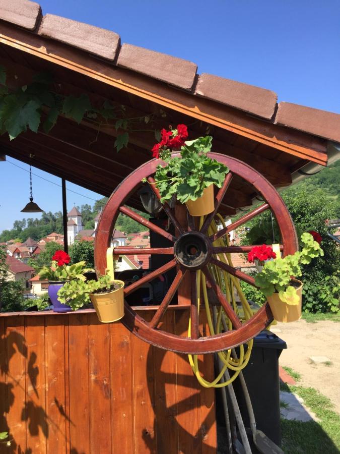 Casa Rustica Cu Terasa Βίλα Mediaş Εξωτερικό φωτογραφία