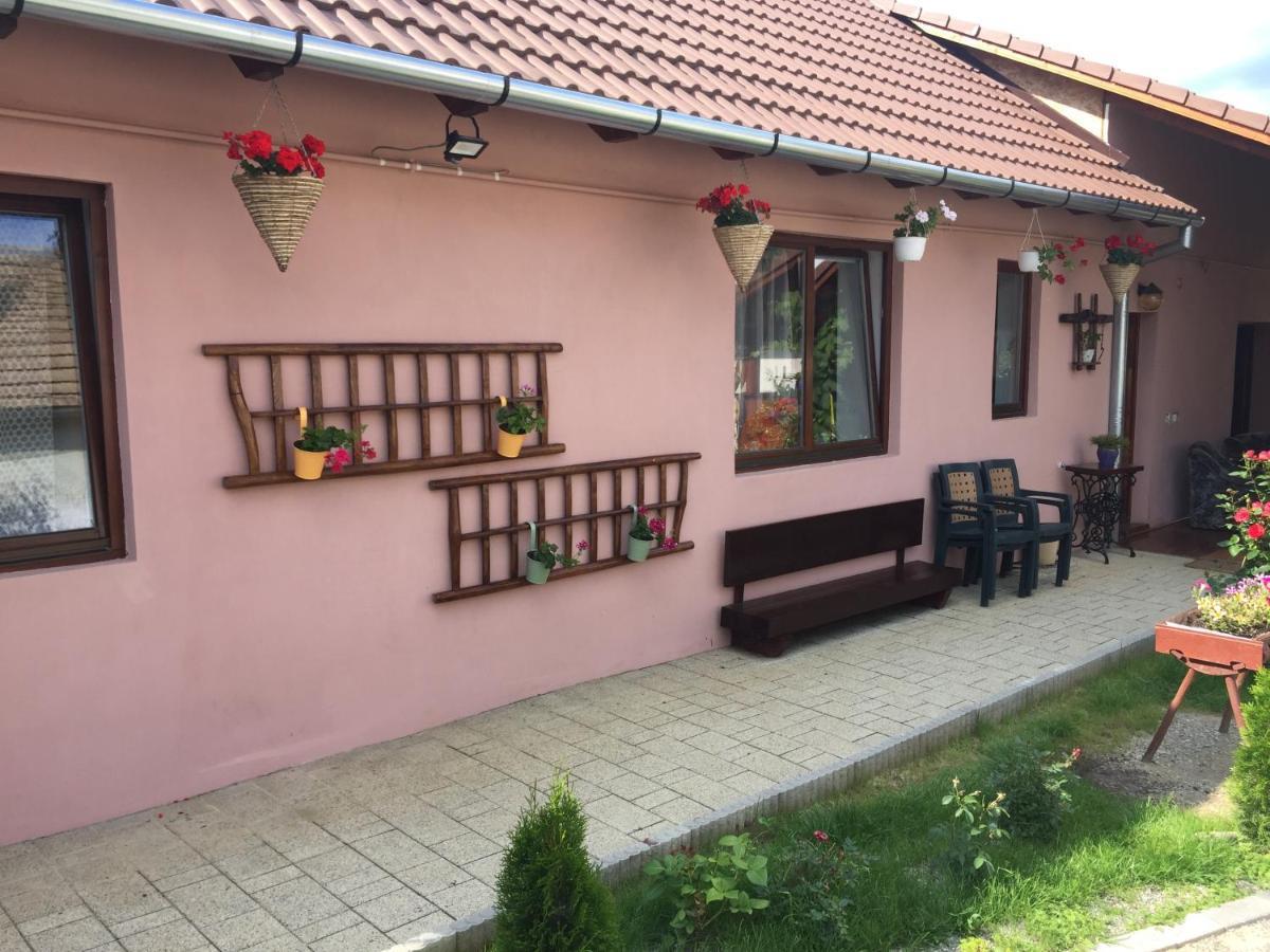 Casa Rustica Cu Terasa Βίλα Mediaş Εξωτερικό φωτογραφία