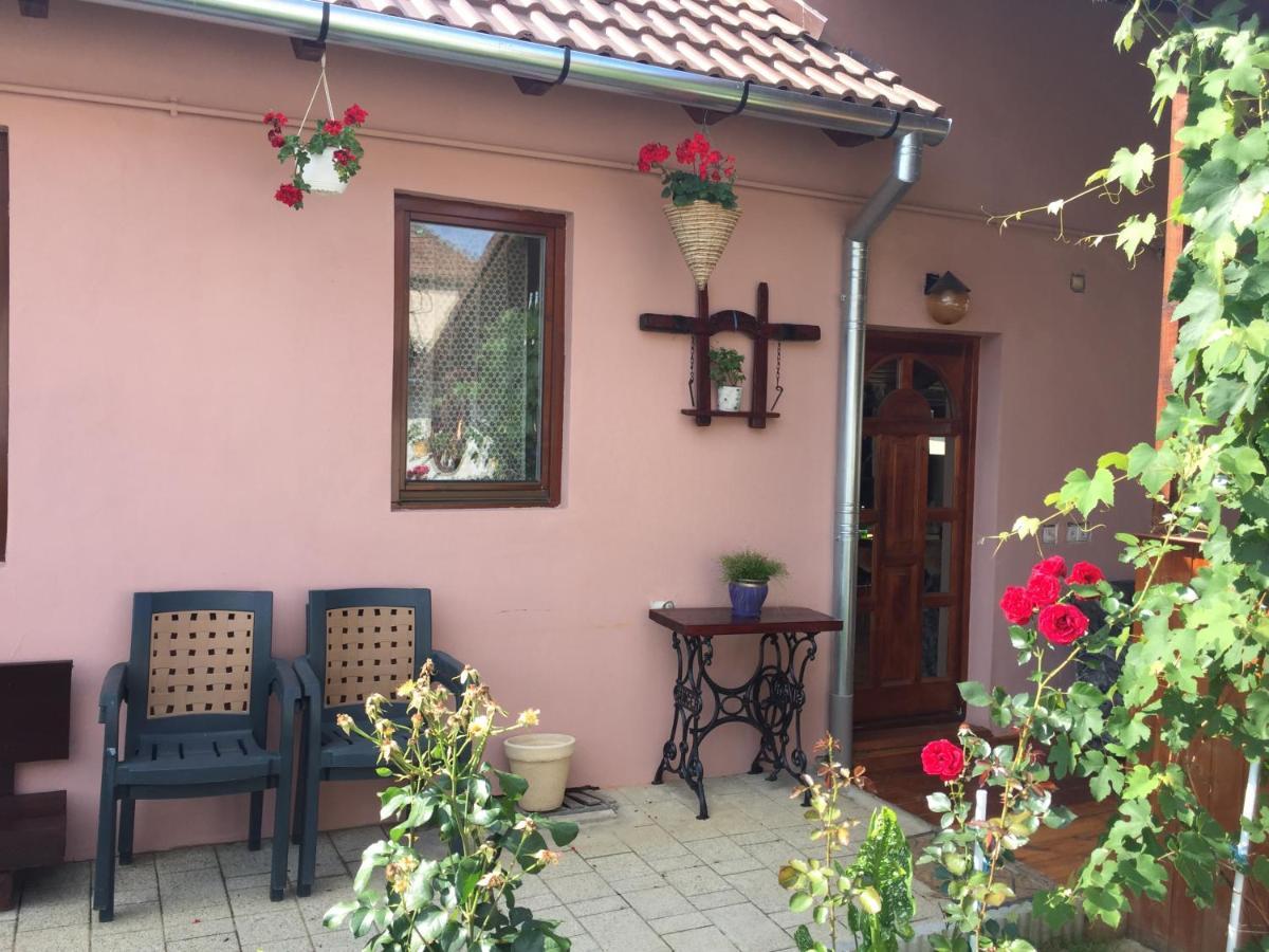 Casa Rustica Cu Terasa Βίλα Mediaş Εξωτερικό φωτογραφία
