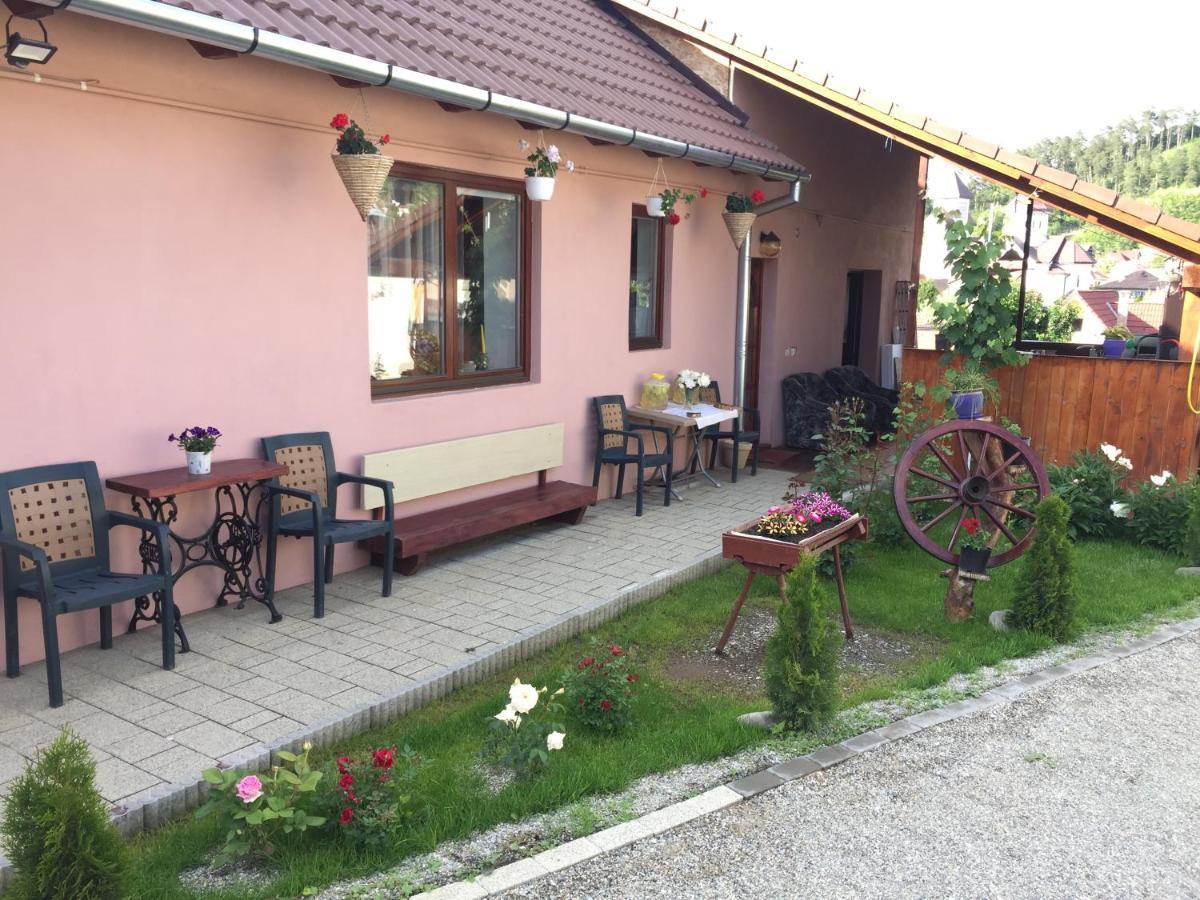 Casa Rustica Cu Terasa Βίλα Mediaş Εξωτερικό φωτογραφία