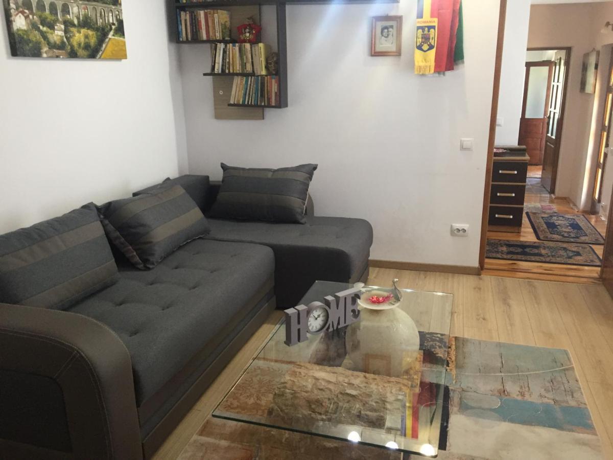 Casa Rustica Cu Terasa Βίλα Mediaş Εξωτερικό φωτογραφία