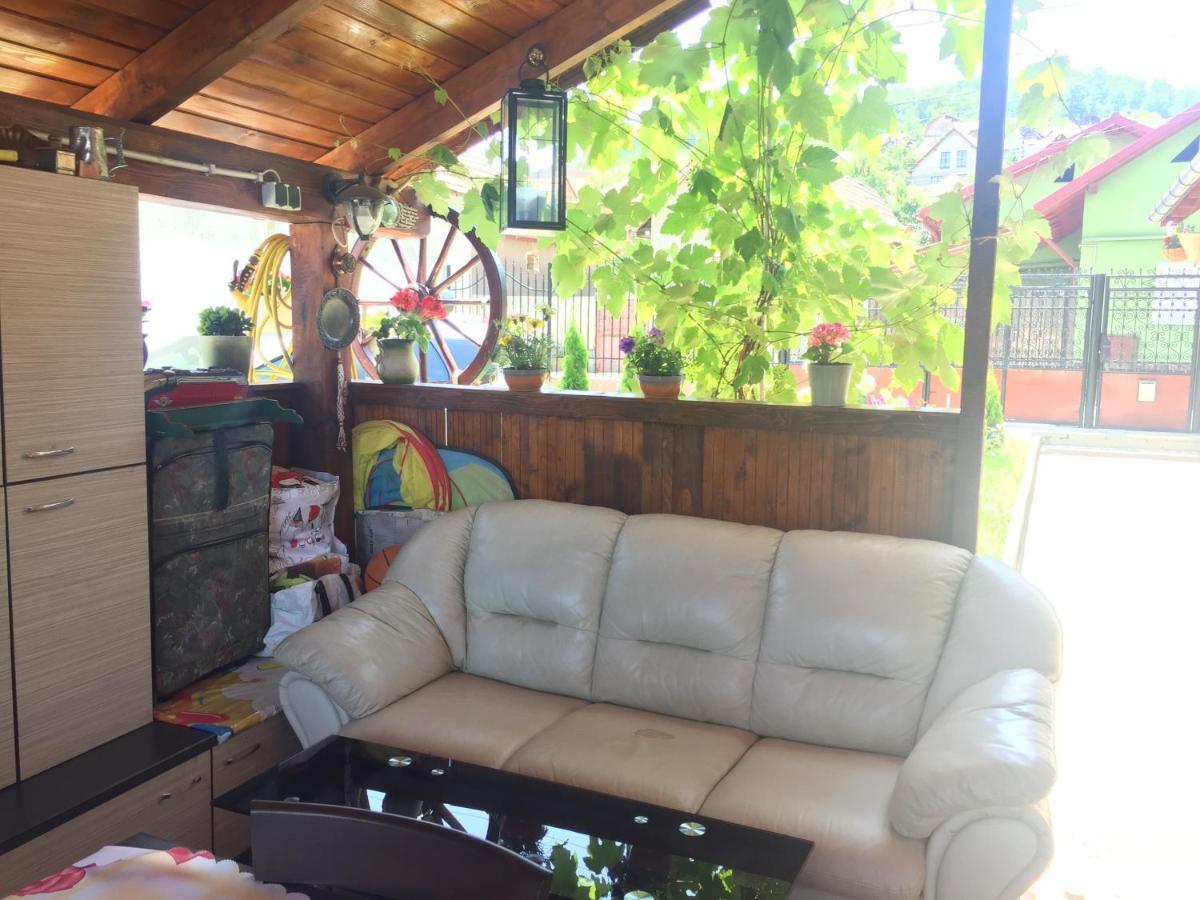 Casa Rustica Cu Terasa Βίλα Mediaş Εξωτερικό φωτογραφία