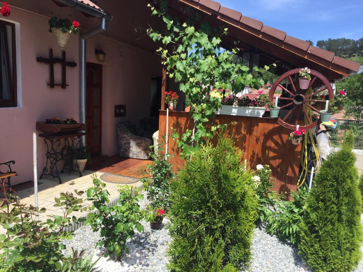 Casa Rustica Cu Terasa Βίλα Mediaş Εξωτερικό φωτογραφία