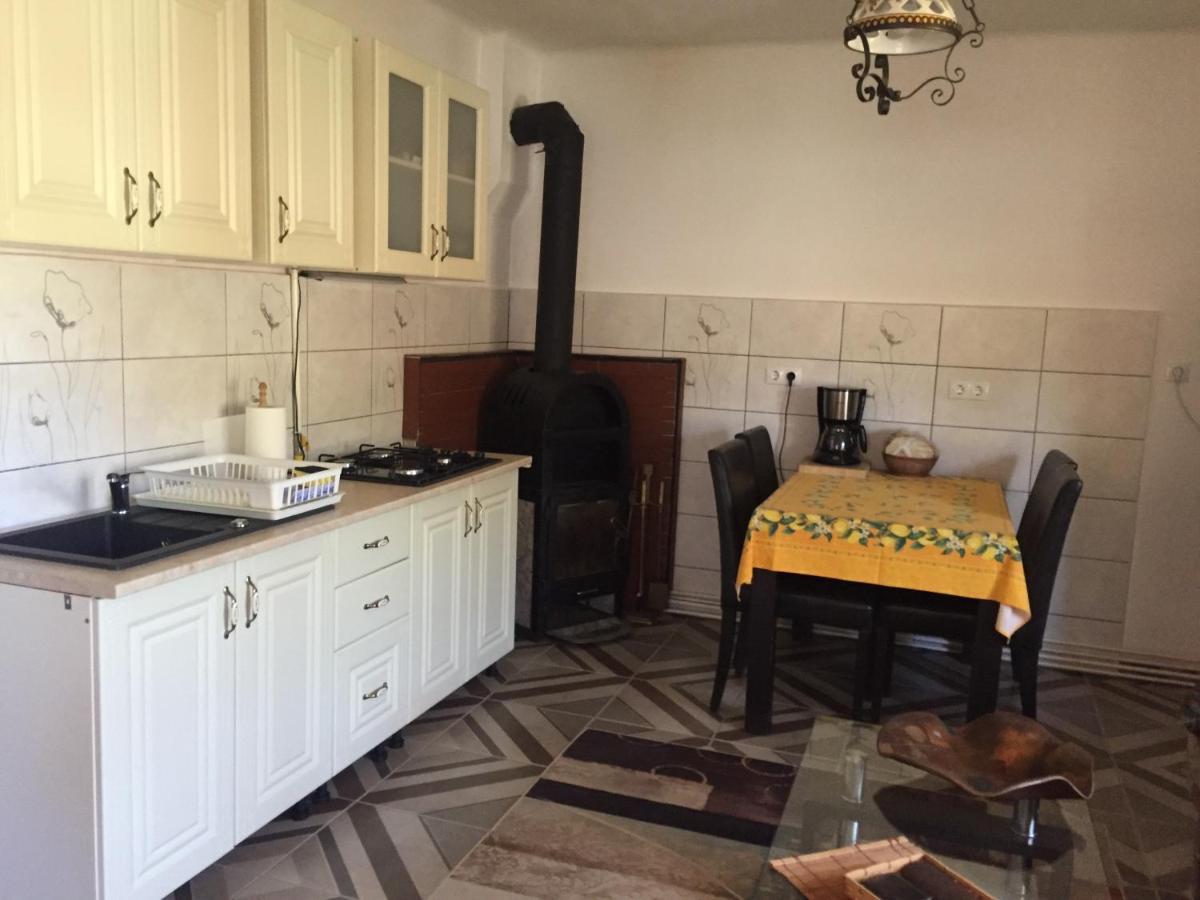 Casa Rustica Cu Terasa Βίλα Mediaş Εξωτερικό φωτογραφία