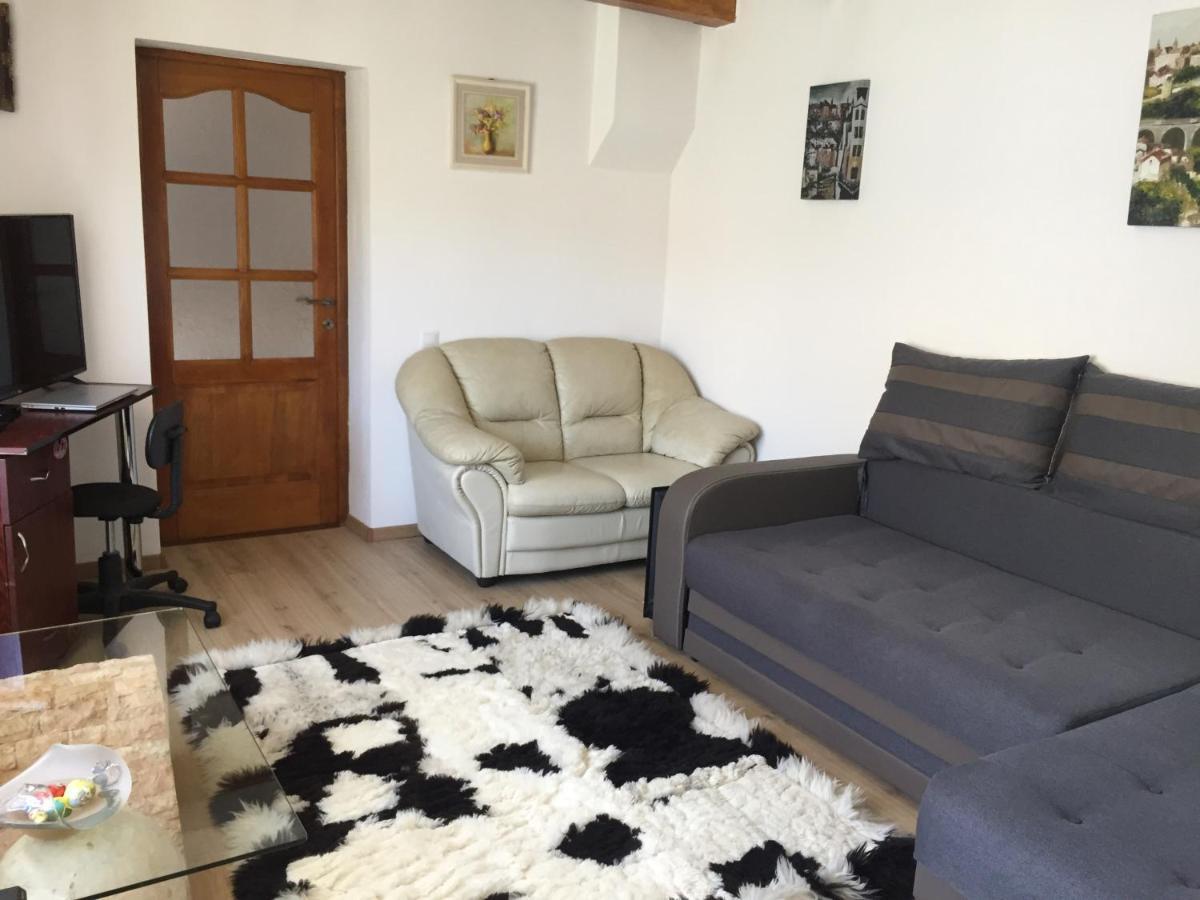 Casa Rustica Cu Terasa Βίλα Mediaş Εξωτερικό φωτογραφία